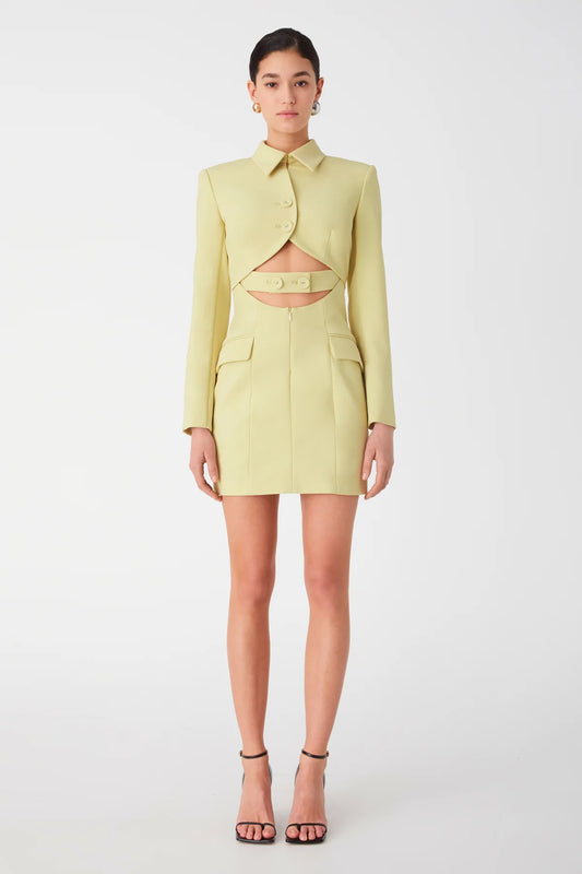 MISHA COLLECTION - MARIA MINI DRESS
